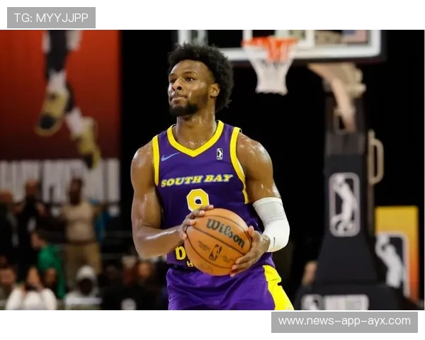 湖人篮板保护更加稳固